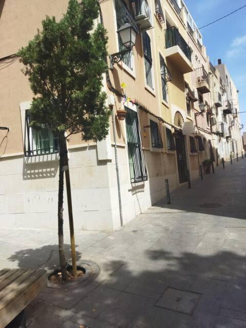 La Casita Del Marques Apartment Alicante Ngoại thất bức ảnh