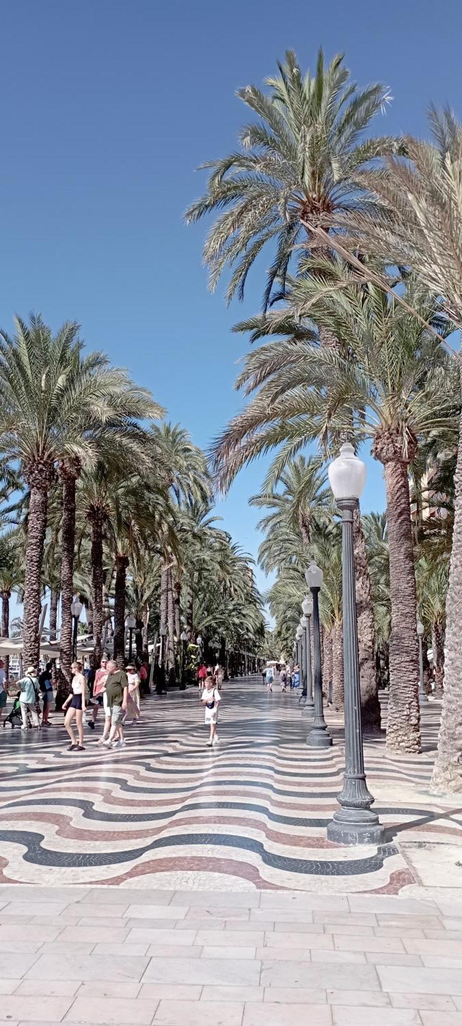 La Casita Del Marques Apartment Alicante Ngoại thất bức ảnh